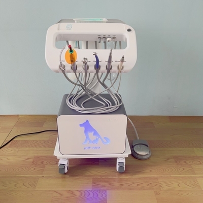 Appareil de traitement dentaire portable pour animaux de compagnie