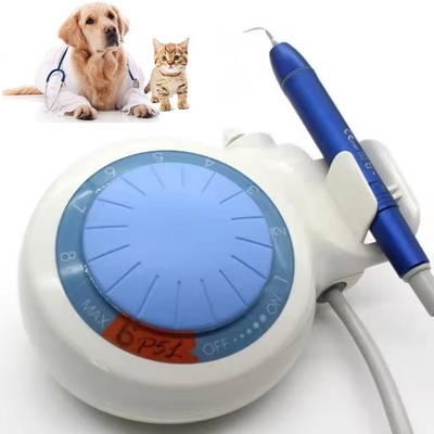 Appareil de nettoyage des dents à ultrasons Échafaudage dentaire à LED Animaux domestiques Échafaudage dentaire à ultrasons