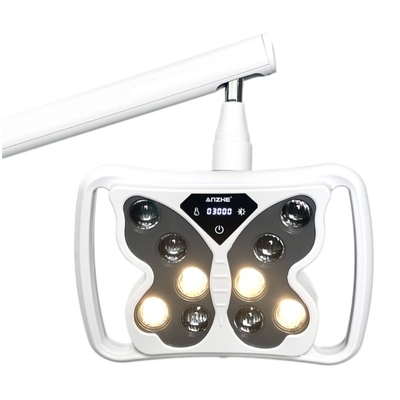Lampe de blanchiment des dents en forme de papillon Salon de beauté Clinique dentaire Utilisez 3 Modèle de machine de blanchiment des dents