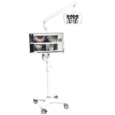 Machine de blanchiment des dents de 12W pour les salons de beauté 10 yeux 3 couleurs Zoom Machine de blanchiment des dents avec PC
