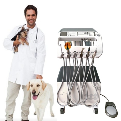 Équipement dentaire vétérinaire Machine de traitement des dents d'animaux de compagnie Déplacez-vous à volonté Vétérinaire utilise unité de traitement dentaire d'animaux de compagnie avec compresseur
