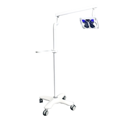 Machine de blanchiment dentaire portable 12W puissante 10 LED à lumière froide Lumière de sol debout lampe d'unité de blanchiment mobile