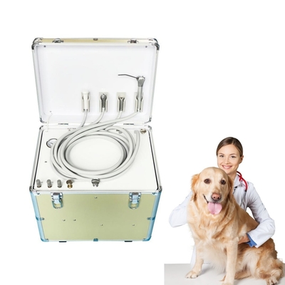 Vétérinaire silencieux utilise unité de traitement dentaire mobile conception de valise facile à emporter animaux de compagnie équipement de traitement dentaire portable unité dentaire