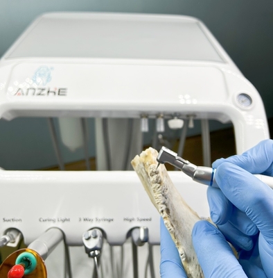 Fabrique dentaire Équipement de traitement des dents pour animaux de compagnie avec compresseur d'air 220V Unité dentaire portable vétérinaire standard UE
