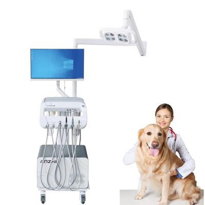 Foshan professionnel usine dentaire vétérinaire utilise une unité dentaire portable avec l'opération de la lumière Pet Teeth Therapay Cart