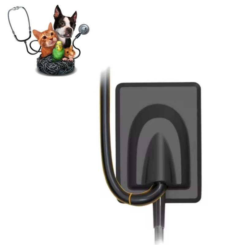 Équipement dentaire vétérinaire Système d'imagerie numérique par rayons X Dents pour animaux de compagnie Capteur de rayons X RVG