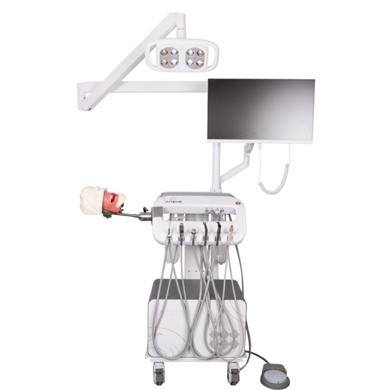 Modèle d'extraction d'anesthésie dentaire École dentaire Anesthésie Formation en injection Modèle système de simulateur d'anesthésie orale