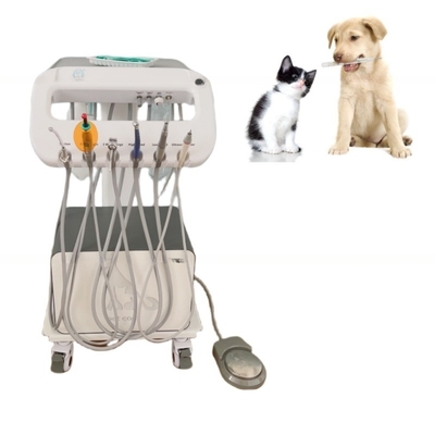 Appareil de traitement dentaire portable pour animaux de compagnie
