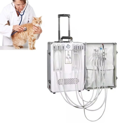 Traitement dentaire des animaux Vétérinaire utilise une unité dentaire portable avec un ensemble complet d'instruments