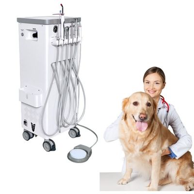 Machine de traitement des dents pour animaux de compagnie déplacer à volonté vétérinaire utiliser unité de traitement dentaire pour animaux de compagnie avec compresseur