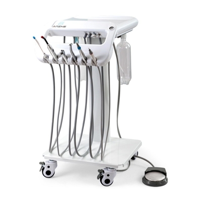 Équipement de traitement dentaire pour animaux de compagnie léger Vétérinaire Chariot dentaire portable