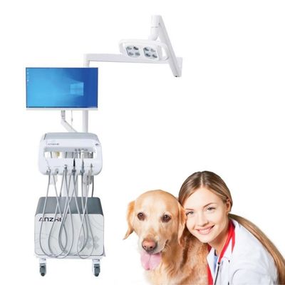 Un bon prix. Fabrique d'opération dentaire pour animaux de compagnie Chariot de chien et de chat Vétérinaire dentaire Chariot mobile machine de traitement des dents pour animaux de compagnie en ligne