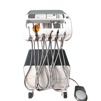 Appareil de traitement dentaire portable pour animaux de compagnie Station de travail dentaire vétérinaire mobile sur mesure