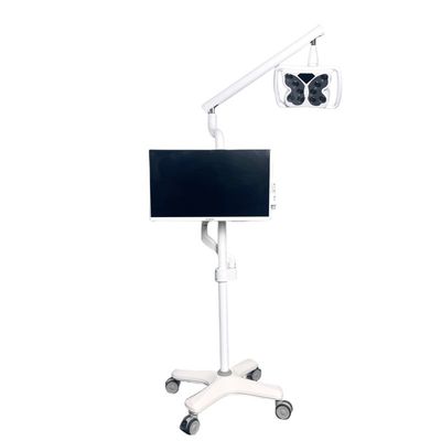 Un bon prix. 4 roues universelles système de blanchiment des dents légères à froid en forme de papillon en ligne