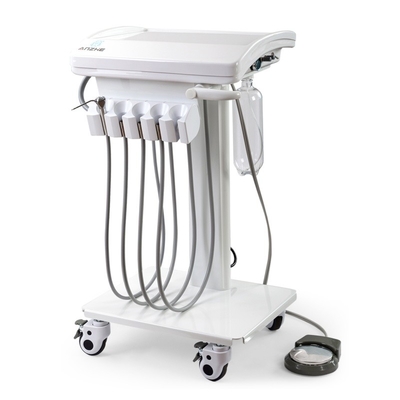 Fabrique de Foshan Système dentaire vétérinaire direct Mini corps Unité dentaire mobile Unité d'opération dentaire pour animaux de compagnie légère