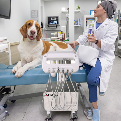 Fabrique d'équipements vétérinaires de Foshan Unité mobile de livraison dentaire Chariot de traitement dentaire pour animaux de petite taille