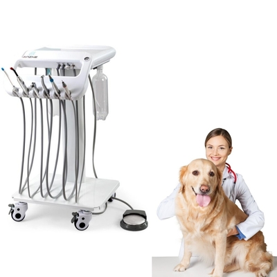 Unité mobile de traitement dentaire animalier pour clinique vétérinaire - Équipement vétérinaire - Unité de soins dentaires pour animaux de compagnie