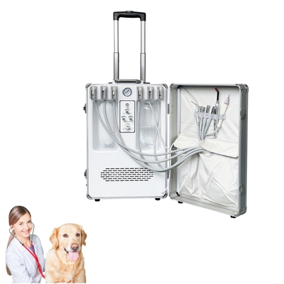 Équipement dentaire vétérinaire portable Animaux de compagnie Traitement des dents Valie Soins dentaires pour animaux Vétérinaire Unité mobile de traitement dentaire
