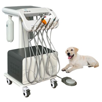 Un bon prix. Vente à chaud Mini mobile unité dentaire vétérinaire avec compresseur d'air Portable animal de compagnie chariot dentaire pour l'hôpital animal Clinique OEM usine en ligne
