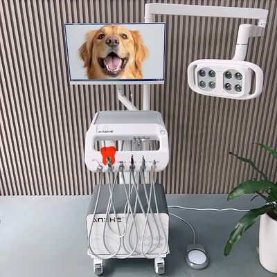 Appareil de traitement dentaire pour animaux de compagnie tout-en-un Unité dentaire vétérinaire mobile avec lampe LED Chariot dentaire vétérinaire mobile PC pour soins bucco-dentaires canins