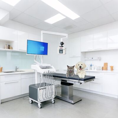 Un bon prix. Unité de thérapie dentaire portable avec radiographie intégrée et chariot dentaire mobile avec compresseur d'air, unité de distribution dentaire pour utilisation en clinique et en milieu externe en ligne