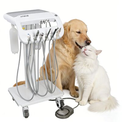 Chariot vétérinaire dentaire Unité dentaire portable pour animaux de compagnie pour le nettoyage des dents de chiens et de chats