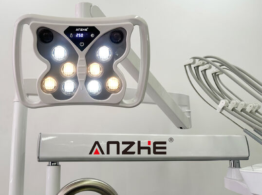 Un bon prix. Unité de traitement dentaire vétérinaire professionnel avec compresseur d'air silencieux 32L et une suite d'instruments à 5 porteurs en acier inoxydable 304 en ligne
