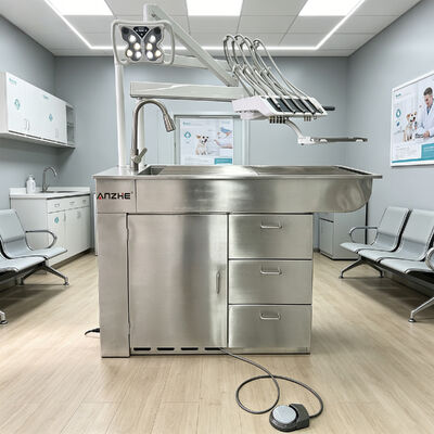 Un bon prix. Unité de traitement dentaire vétérinaire professionnel avec compresseur d'air silencieux 32L et une suite d'instruments à 5 porteurs en acier inoxydable 304 en ligne