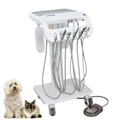Factory Direct Veterinary Portable Dental Trolley for Dog & Cat | Mobile Pet Dental Treatment Cart with Ultrasonic Scaler, Suction System & LED Curing Light | OEM/ODM Vet Dental Equipment