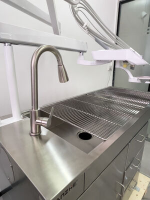 Unité de traitement dentaire vétérinaire avec lampe papillon de blanchiment à LED 32L compresseur d'air sans huile en acier inoxydable poste de travail dentaire vétérinaire