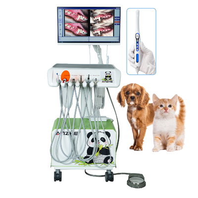 HD Caméra orale Station de travail dentaire vétérinaire PC tout en un Win10 Système dentaire vétérinaire mobile Plug & Play solution dentaire vétérinaire complète
