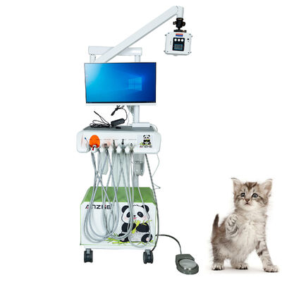 Un bon prix. Sensor vétérinaire numérique intra-oral de l'usine d'origine Plug-and-play entièrement équipé Rayons X haute résolution pour les cliniques pour animaux de compagnie en ligne