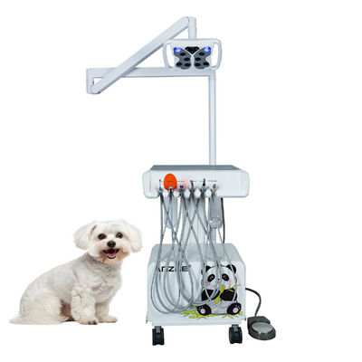 Un bon prix. Unité dentaire vétérinaire portable avec lampe LED papillon, compresseur d'air intégré, détartreur ultrasonique, lampe de polymérisation LED, système d'aspiration pour cliniques dentaires animales en ligne