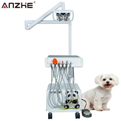Unité dentaire vétérinaire portable avec lampe LED papillon, compresseur d'air intégré, détartreur ultrasonique, lampe de polymérisation LED, système d'aspiration, poste de travail dentaire mobile pour animaux