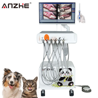 Un bon prix. Unité dentaire vétérinaire portable directe d'usine avec caméra orale HD et ordinateur tout-en-un à écran tactile de 23,8 pouces, compresseur d'air intégré, détartreur, lampe de polymérisation pour cliniques dentaires animales en ligne