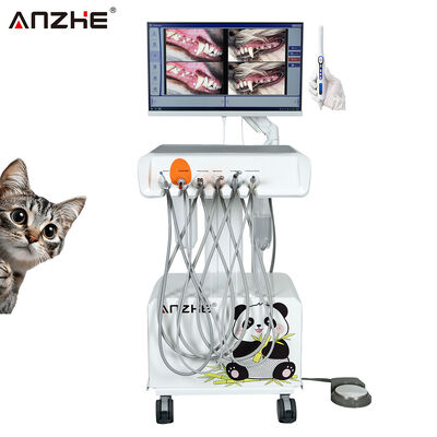 Un bon prix. Unité dentaire vétérinaire portable avec caméra orale HD et ordinateur tout-en-un intégré, compresseur d'air, poste de travail dentaire vétérinaire pour cliniques dentaires animales en ligne