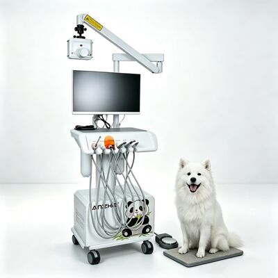 Un bon prix. Unité de traitement dentaire vétérinaire mobile portable Machine dentaire tout-en-un pour animaux de compagnie avec capteur numérique pour les hôpitaux pour animaux et les cliniques dentaires pour animaux de compagnie en ligne