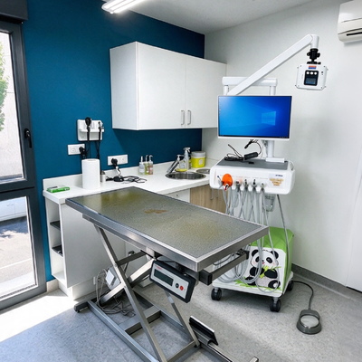 Station de travail dentaire vétérinaire tout en un avec capteur numérique de rayons X et caméra orale pour les cliniques vétérinaires